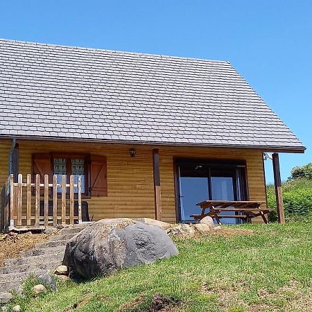 Chalet Sancy Saint-Genès-Champespe エクステリア 写真