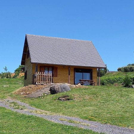 Chalet Sancy Saint-Genès-Champespe エクステリア 写真