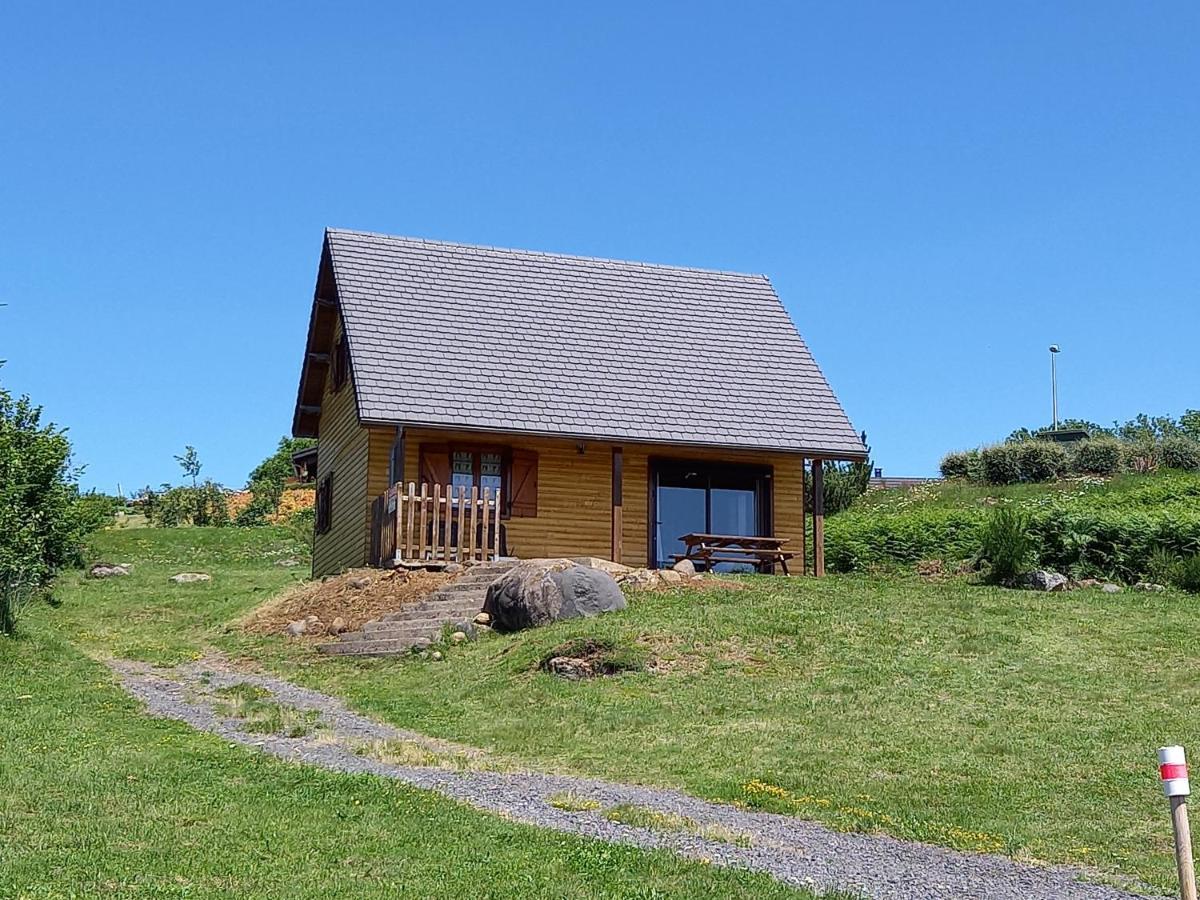 Chalet Sancy Saint-Genès-Champespe エクステリア 写真