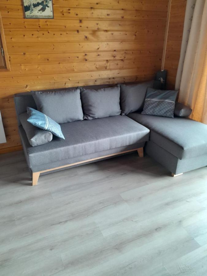 Chalet Sancy Saint-Genès-Champespe エクステリア 写真